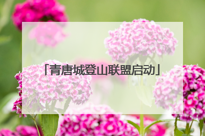 青唐城登山联盟启动